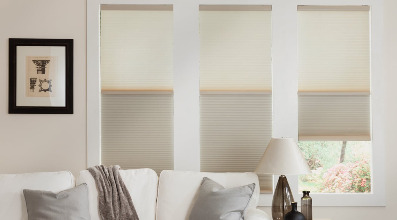 Cellular shades in a Charlotte living room